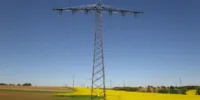 Ein Strommast, der auf einem blühenden Rapsfeld steht.