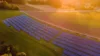 Große Photovoltaikanlage auf einem grünen Feld, bestehend aus mehreren Reihen von Solarpaneelen