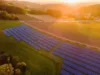 Große Photovoltaikanlage auf einem grünen Feld, bestehend aus mehreren Reihen von Solarpaneelen