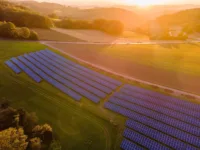 Große Photovoltaikanlage auf einem grünen Feld, bestehend aus mehreren Reihen von Solarpaneelen