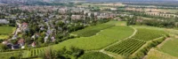 Luftaufnahme einer ländlichen Gegend mit Weinbergen im Vordergrund