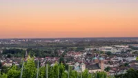 Eine Stadtlandschaft im Abendlicht, mit Weinreben im Vordergrund