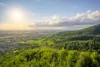 Grüne Landschaft mit Wolken und Sonne am Horizont