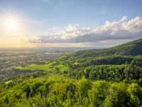 Grüne Landschaft mit Wolken und Sonne am Horizont