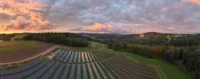 Eine große Solaranlage mit mehreren Reihen von Solarpaneelen, die sich über ein weites, grünes Feld erstrecken