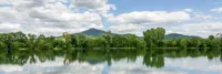 Niederwaldsee, Rodau